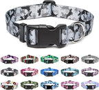 Mercano Adjustable Dog Collar by Unknown