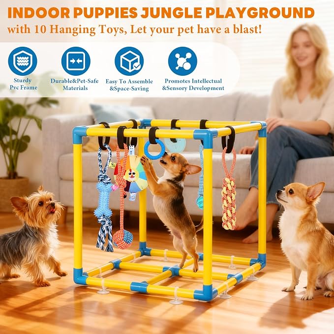 Puppy Play Gym for Small Dogs - Image 2
