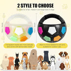 Dog Toy Ball with Handle, Toss and Fetch Play, Interactive Ball - Image 2