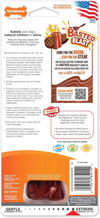 Nylabone Textured Bone Power Chew Toy - Image 11