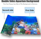 Fish Backgrounds Paper Double Sides Undersea Aquarium Background Poster - Image 6
