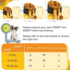 MORIK Lion's Den: Pet Backpack Carrier - Image 4