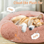 JOLLYVOGUE Calming Small Dog & Cat Bed - Image 2
