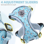 PUPTECK Cat Harness and Leash Set Escape Proof Reflective Cat Walking Harness - Image 4