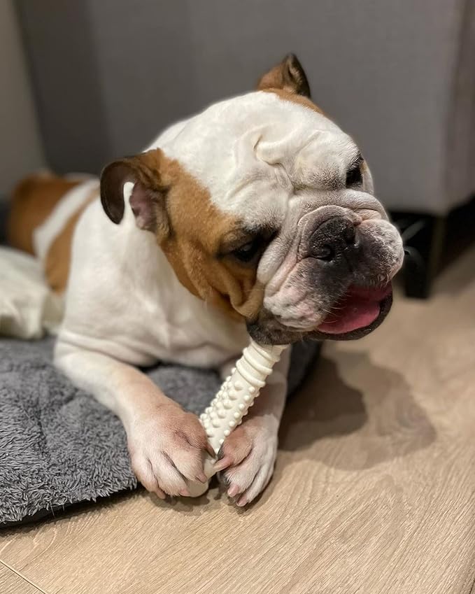 Nylabone Textured Knuckle Bone Power Chew Toy - Image 2