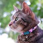 Kittyrama Botanicals Fern Cat Collar. Award Winning. Hypoallergenic, Quick - Image 4