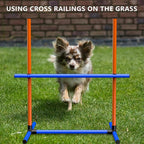 6Set Dog Agility Jumps Hurdle Course Training Equipment - Image 3