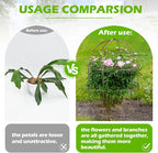 NNG 26 Inch Bird Cage Plant Support, Metal Grow Through Flower Trellis Cage - Image 5