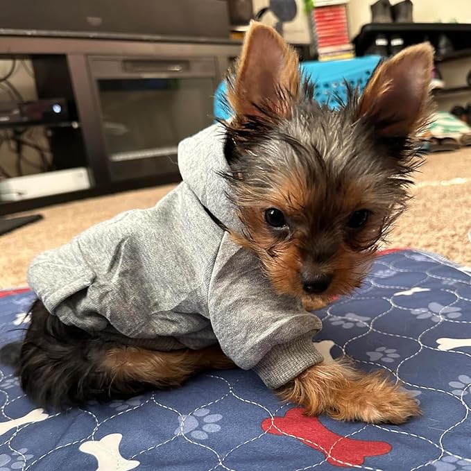 Jecikelon Winter Dog Hoodie Sweatshirts - Image 5
