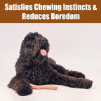 SPOT Bam-Bones Plus Branch -Bamboo Fiber & Nylon, Durable Long Lasting Dog Chew - Image 8