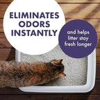 Arm & Hammer Forever Fresh Cat Litter Deodorizer, Wild Lavender, Essential Oils - Image 2