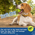 Tennis Balls for Dogs - Image 4