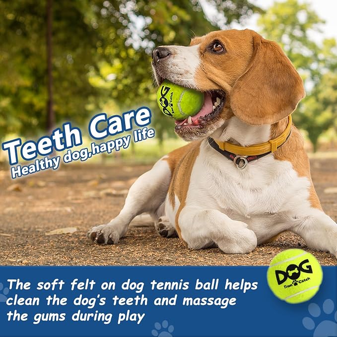 Large Squeaky Tennis Balls for Dogs - Image 3