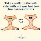 Lucy & Co. Cute Reversible Dog Harness Walking Halter - Image 4