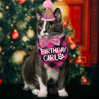 STMK Cat Birthday Decorations, Cat Birthday Hat - Image 2