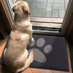 Buganda Dog Door Mat for Muddy Paws, Absorbent Dirt Trapper Non Slip Indoor - Image 7