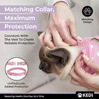 Kitten Recovery Suit Female, Kitten Onesie After Spay, Cat Surgery Suit Female - Image 3