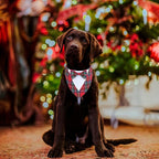 ADOGGYGO Christmas Dog Tuxedo Bandana, Adjustable Christmas Costume - Image 2