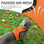 PUPTECK Soft Mesh Cat Vest Harness and Leash Set Puppy Padded Pet Harnesses - Image 2