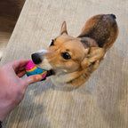 SPOT Sensory Ball for Soft Chewers - Image 11