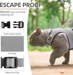 PUPTECK Soft Mesh Cat Vest Harness and Leash Set Puppy Padded Pet Harnesses - Image 3