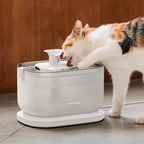 PETLIBRO Cat Water Fountain, Cat Fountain Indoor Stainless Steel Tray, - Image 7