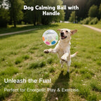 Dog Calming Ball with Handle, Interactive Ball - Image 2