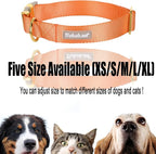 Nylon Dog Collar - Image 8
