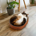 ComSaf Cat Scratching Board - Image 7