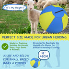 Herding Ball for Dogs and Horses - Image 2