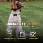 Dog Collar, Cute Cartoon Mushroom Boys Girls Puppy Collar - Image 5
