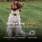 Dog Collar for Boys & Girls, Adjustable Soft Floral Pattern Pet Collar - Image 5