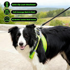 ROYPET Step-in Air Dog Harness, All Weather Mesh Step in Vest Harness - Image 3