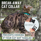 OutdoorBengal Orange Breakaway Kitten Collar - Image 2