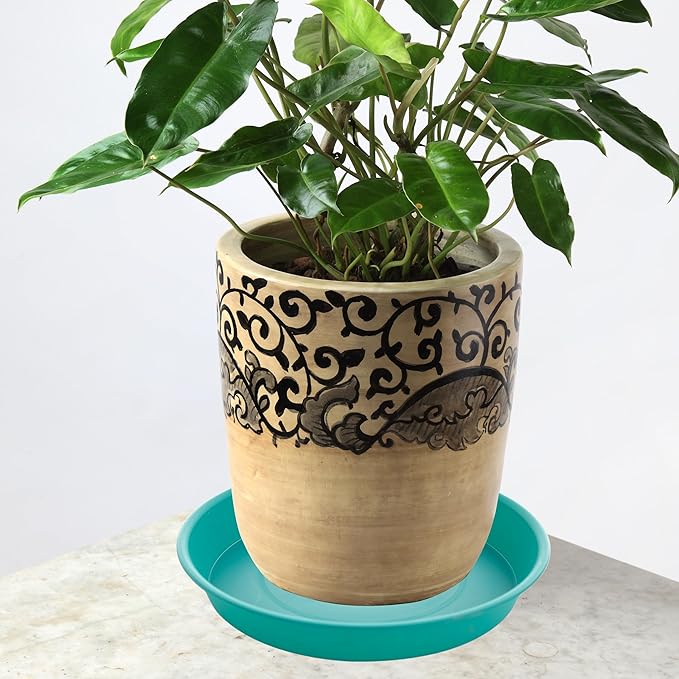 6 Pack of 6 inch Plant Saucer Drainage Tray, 4 5 7 8 10 12 13 15 17 19 inch - Image 6