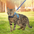 PUPTECK Cat Harness and Leash Set Escape Proof, Reflective Adjustable Soft Mesh - Image 6