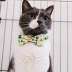 2 Pack St. Patrick's Day Irish Cat Collar - Image 6