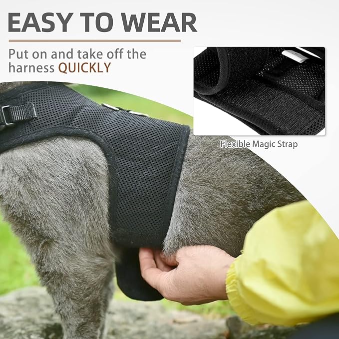 PUPTECK Soft Mesh Cat Vest Harness and Leash Set Puppy Padded Pet Harnesses - Image 5