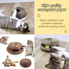 Kitty Curlz Cat Scratching Board, Magic Organ Cat Toy, Made of Recyclable - Image 3