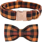 Elegant little tail Dog Collar by Elegantlittletail