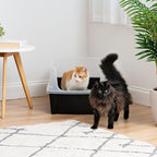 IRIS USA XX-Large Cat Litter Box, Open Top Extra Large Litter Box - Image 3