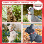 PETCARE Reflective Dog Collar - Image 3