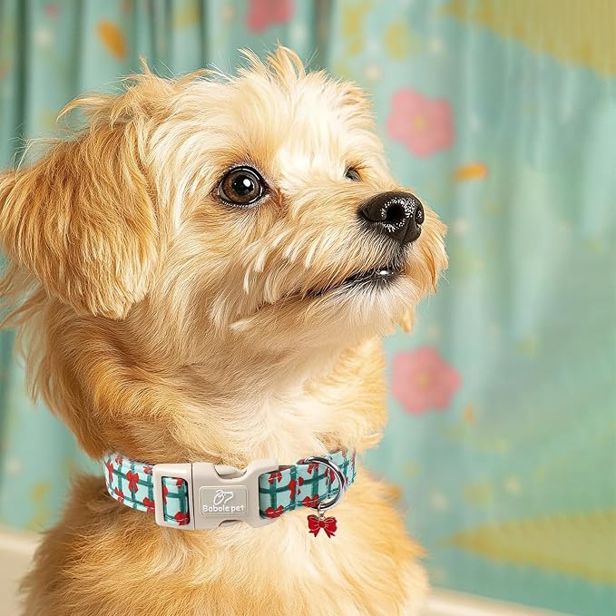 Christmas Dog Collar for Small Dogs - Image 7