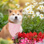 ADOGGYGO Floral Dog Bandana 2 Pack, Reversible Pink Daisy Pet Scarf Bib - Image 3