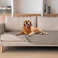gogobunny 3X Stronger Waterproof Pet Blanket, Scratch Proof Furniture Protector by gogobunny