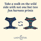 Lucy & Co. Space Doodle, Cute Reversible Dog Harness Walking Halter - Image 3