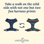 Lucy & Co. Space Doodle, Cute Reversible Dog Harness Walking Halter - Image 3