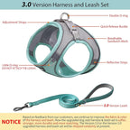AIITLE Step in Dog Harness and Leash Set - Image 4