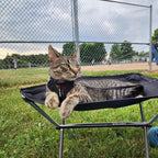 Voyager Escape-Proof Step-in Lock Cat Harness & 5ft Neoprene-Handle Leash Set - Image 6
