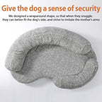 Orthopedic Memory Foam Dog Bed for Medium Sized Dog - Image 2